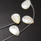 Drop of natural Mother of pearl, shell